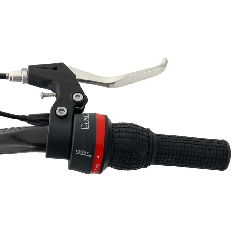 Dziecięcy Rowerek Miejski 20 Dziewczynki Stylowy