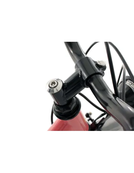 Dziecięcy Rowerek Miejski 20 Dziewczynki Stylowy