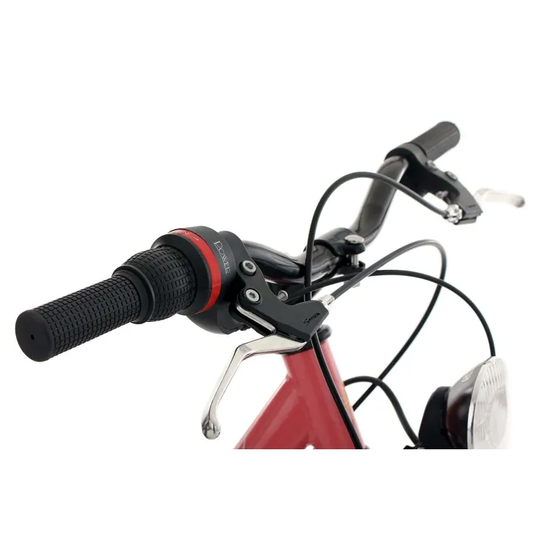 Dziecięcy Rowerek Miejski 20 Dziewczynki Stylowy