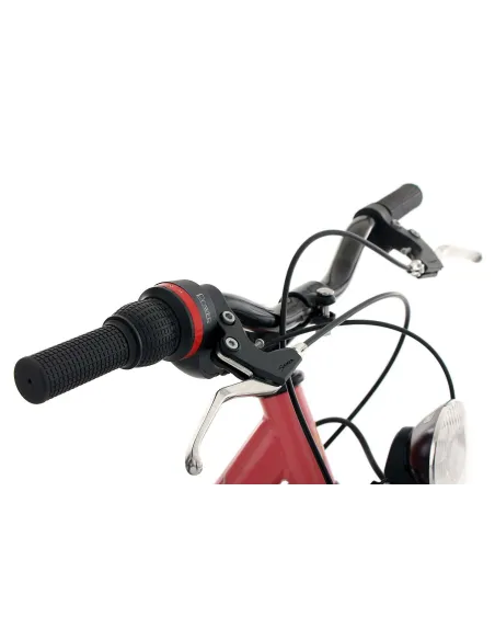 Dziecięcy Rowerek Miejski 20 Dziewczynki Stylowy