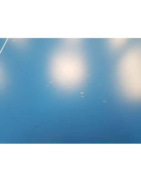 Stół Do Tenisa Stołowego Joola Outdoor Aluterna Siatka Składany Ping Pong