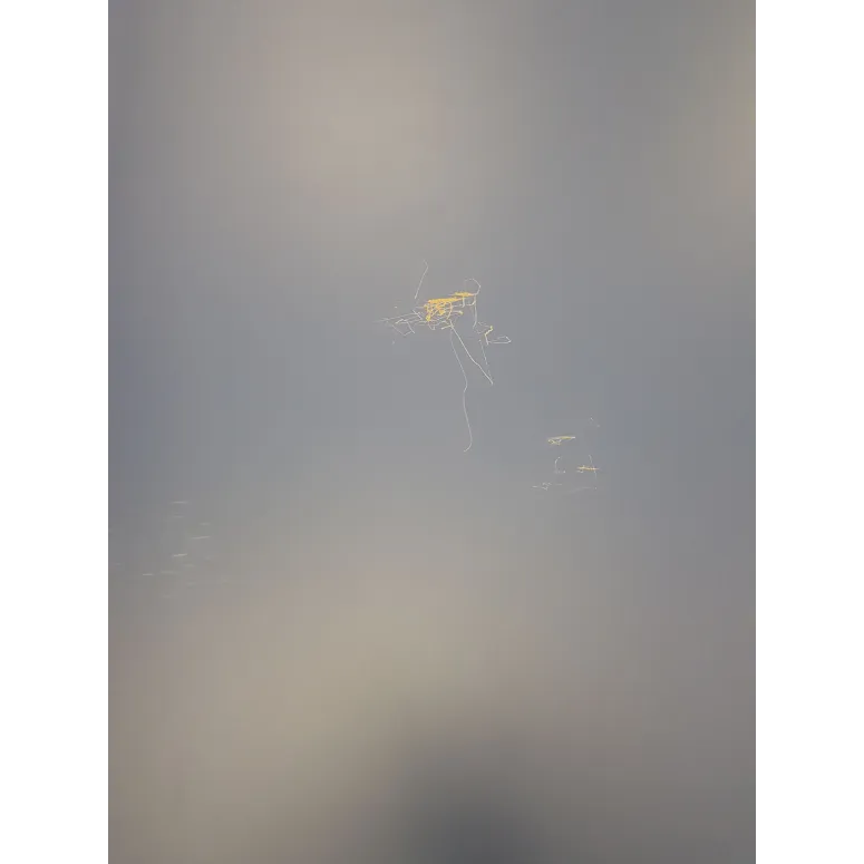 Stół Do Tenisa Stołowego Joola Inside 13 Ping Pong Do Gry Siatka Składany