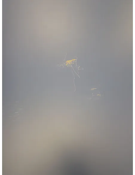 Stół Do Tenisa Stołowego Joola Inside 13 Ping Pong Do Gry Siatka Składany