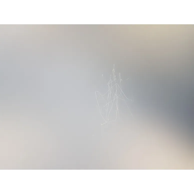 Stół Do Tenisa Stołowego Ping-Pong JOOLA Table Tenis Inside 13 Siatka