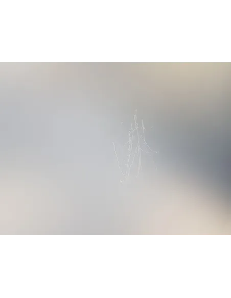 Stół Do Tenisa Stołowego Ping-Pong JOOLA Table Tenis Inside 13 Siatka