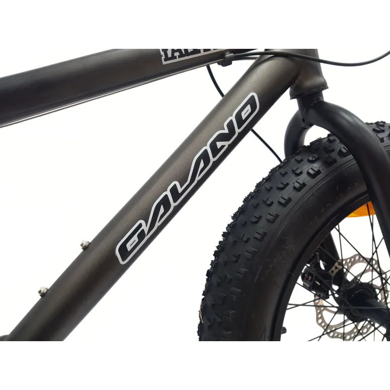 Rower Dziecięcy 20 Alu Fatbike Terenowy Górski Tarcze Stopka Szerokie Opony