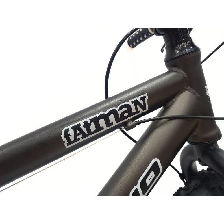 Rower Dziecięcy 20 Alu Fatbike Terenowy Górski Tarcze Stopka Szerokie Opony