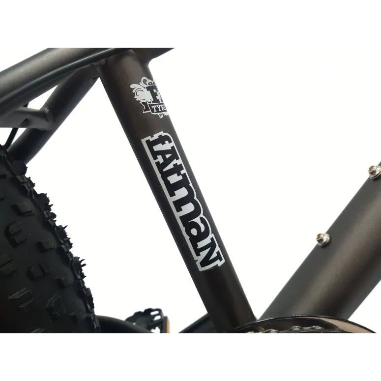 Rower Dziecięcy 20 Alu Fatbike Terenowy Górski Tarcze Stopka Szerokie Opony