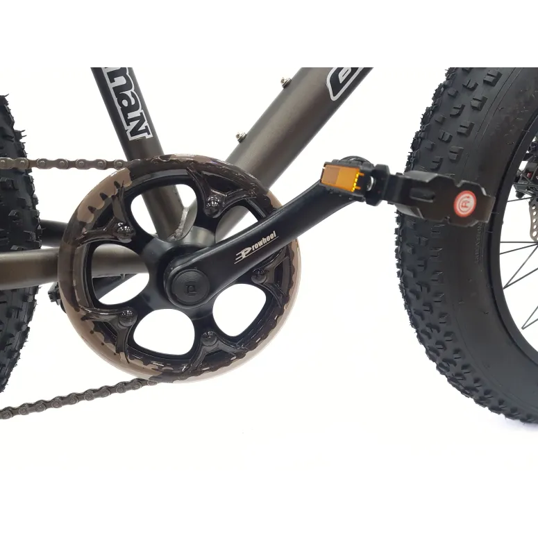 Rower Dziecięcy 20 Alu Fatbike Terenowy Górski Tarcze Stopka Szerokie Opony