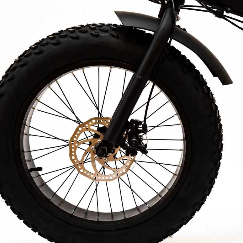 Elektryczny Rower Fatbike 20 Stal 36V 13Ah 250W Składany Czarny Bagażnik