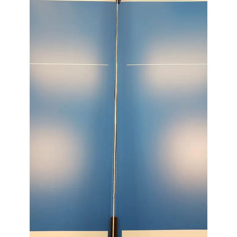 Stół Do Tenisa Stołowego Joola Rally Outdoor Ping Pong Z Siatką Składany