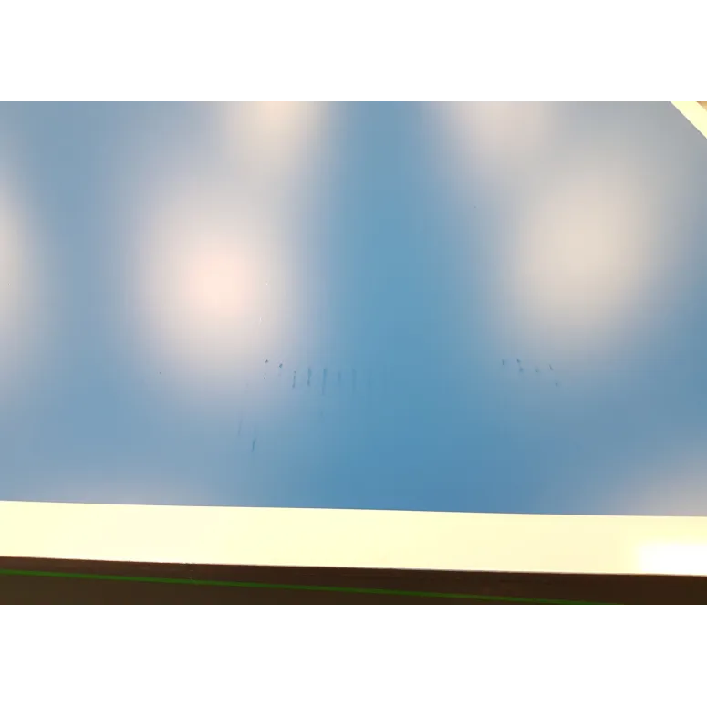 Stół Do Tenisa Stołowego Joola Rally Outdoor Ping Pong Z Siatką Składany