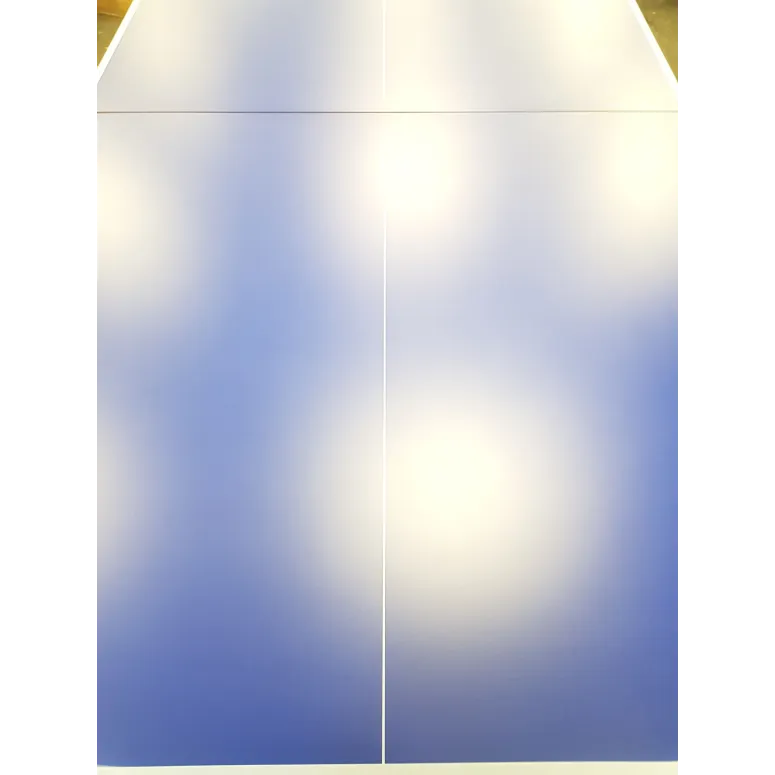 Stół Do Tenisa Stołowego CORNILLEAU Tectonic Outdoor Składany Siatka Blue