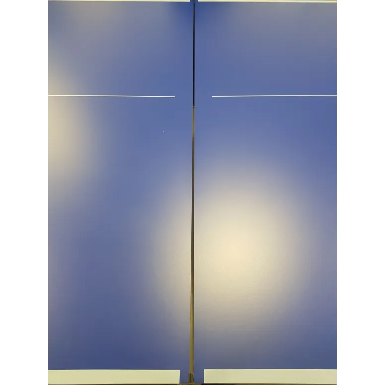 Stół Do Tenisa Stołowego CORNILLEAU Tectonic Outdoor Składany Siatka Blue