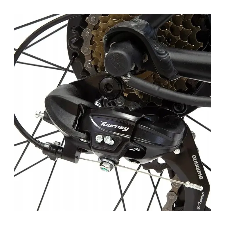 Elektryczny Rower Górski 29 ALU MTB Hardtail Wspomaganie Tarcze Oświetlenie