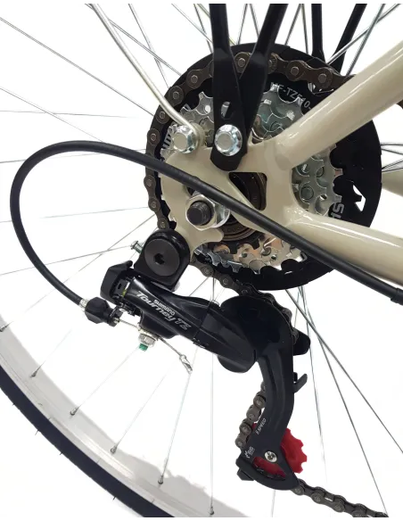 Rower Miejski 28 Męski Stal Revoshift Błotniki Bagażnik Oświetlenie Stopka