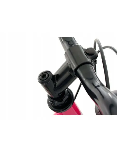 Dziewczęcy Rower Miejski Damka 24 Światła Bagażnik