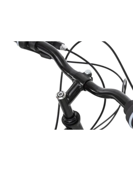 Rower Górski 24 Dla Chłopca Dziewczynki Hamulec Tarczowy Amortyzacja