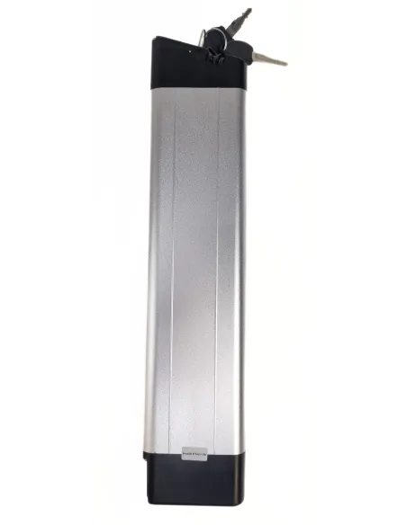 Bateria Do Roweru Elektrycznego Greenway NZ6011003 Do Zundapp Z101 E-Bike
