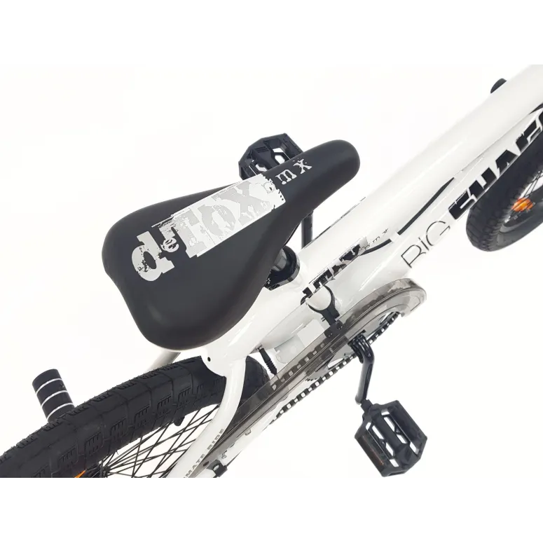 Rower BMX 20 Młodzieżowy Damski Męski Wyczynowy Freestyle Rotor 360 Pegi