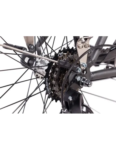 Rower Miejski 28 Uniwersalny Damski Stal Kontra Revoshift Światła Błotniki