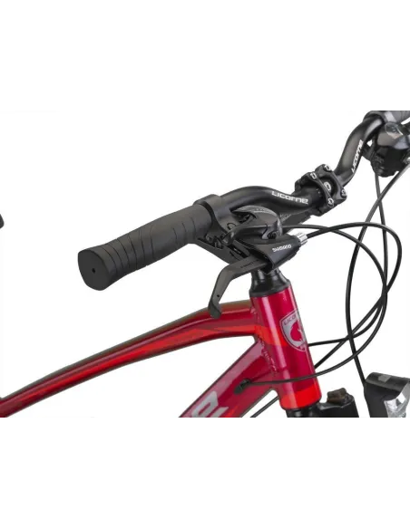 Rower Trekkingowy Damski 28 Tarcze Cyngle Stopka Bagażnik Błotniki Dzwonek