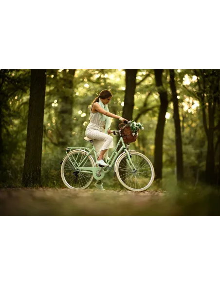 Rower Miejski Damski 28 Holenderka z Akcesoriami Rama Stalowa 6 Biegów