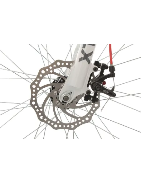 Rower Górski 26 Amory Tarcze 21 bieg Uniwersalny