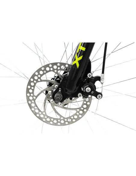 Rower Górski 26 Góral Amory 21 bieg Światła Unisex