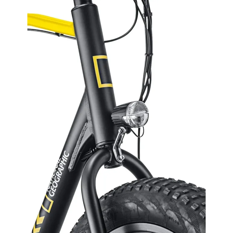 Rower Elektryczny Fatbike 20 Tarcze 7 bieg 250W ALU 5 Trybów Wspomaganie