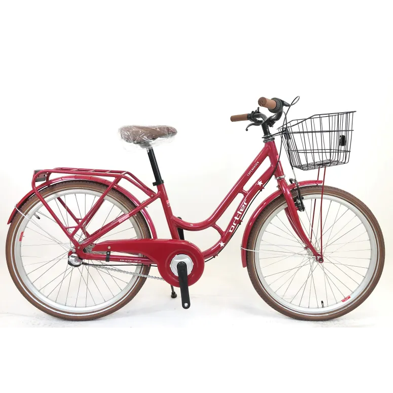 Dziewczęcy Rower Miejski 24 Nexus 3 Aluminiowy