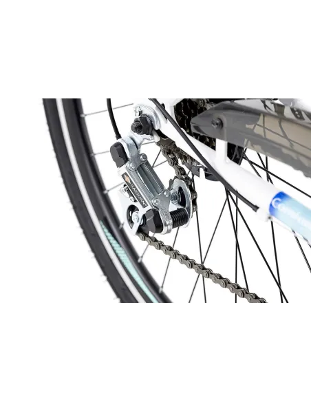 Rower Dziewczęcy Miejski 24 Damka 21 Bieg Bagażnik