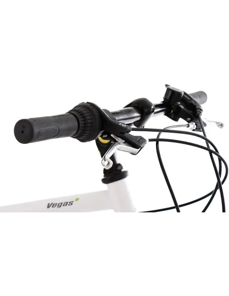 Rower Trekkingowy Turystyczny 28 Męski 21 Biegów