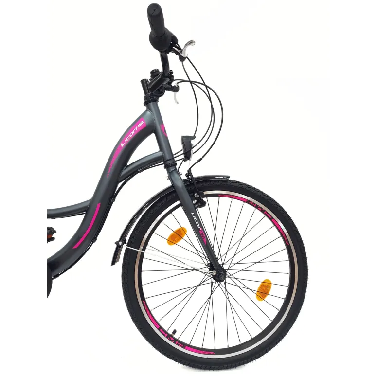 Rower Miejski Dziewczęcy 24 Uniwersalny Oświetlenie Stopka Dzwonek Bagażnik