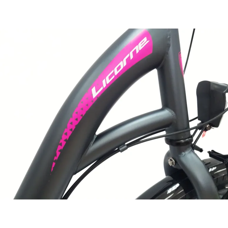 Rower Miejski Dziewczęcy 24 Uniwersalny Oświetlenie Stopka Dzwonek Bagażnik