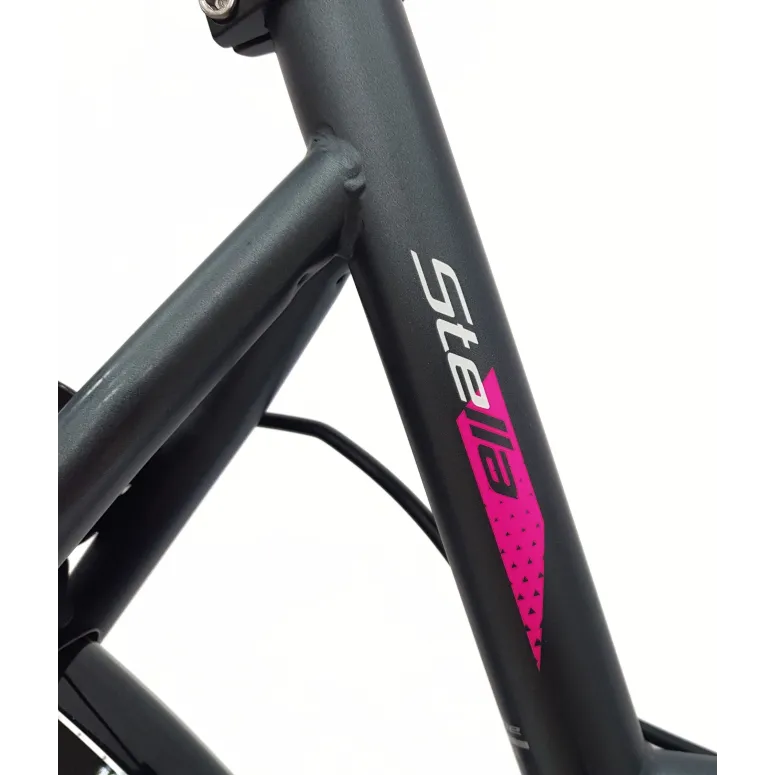 Rower Miejski Dziewczęcy 24 Uniwersalny Oświetlenie Stopka Dzwonek Bagażnik