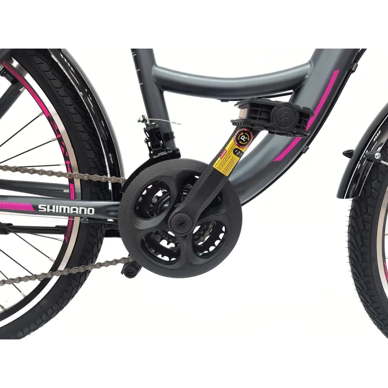 Rower Miejski Dziewczęcy 24 Uniwersalny Oświetlenie Stopka Dzwonek Bagażnik