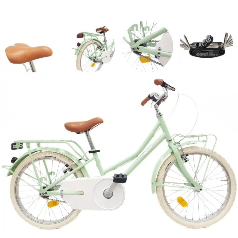 Rower Dziecięcy 20 Dziewczęcy Retro Błotniki Bagaż Odblaski Stopka Osłona