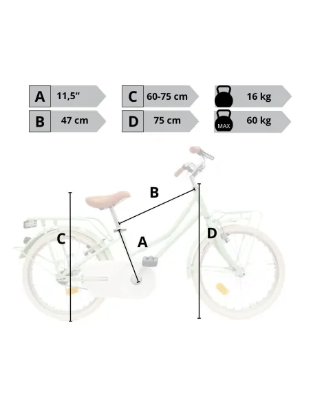 Rower Dziecięcy 20 Dziewczęcy Retro Błotniki Bagaż Odblaski Stopka Osłona