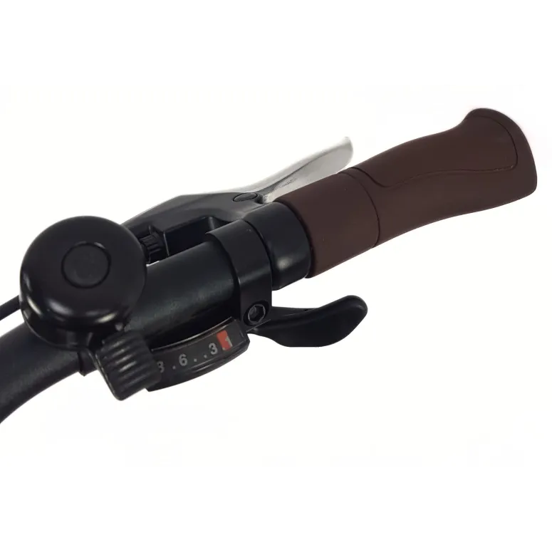 Elektryczny Rower Miejski 28 Alu Tarcze Wspomaganie Bagażnik Dzwonek