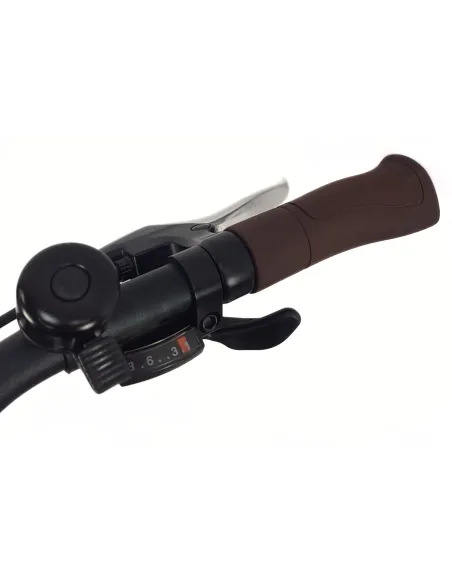 Elektryczny Rower Miejski 28 Alu Tarcze Wspomaganie Bagażnik Dzwonek