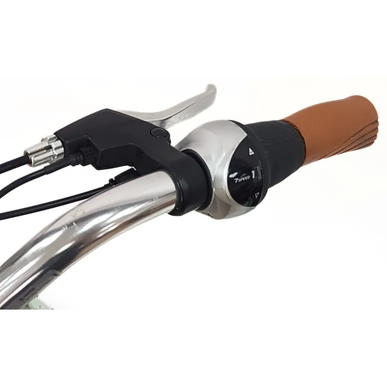 Elektryczny Rower Miejski 28 Alu Nexus 250W 36V 13Ah Wspomaganie Światła