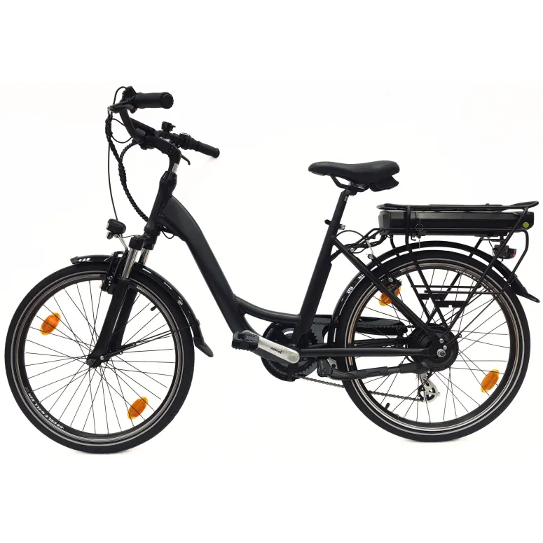 Elektryczny Rower Miejski 24 Alu Revo Altus 7-biegów Światła Odblaski 250W