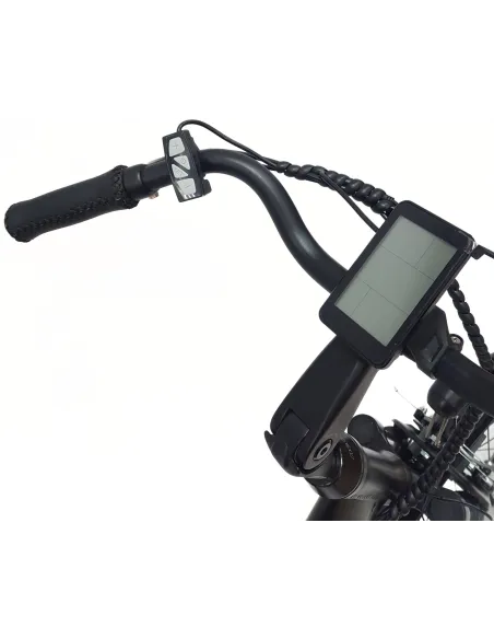 Elektryczny Rower Miejski 24 Alu Revo Altus 7-biegów Światła Odblaski 250W