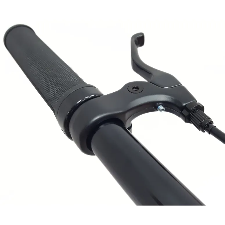 Rower Ostre Koło 28 Miejski U-Brake Singlespeed Odblaski Lekki Uniwersalny