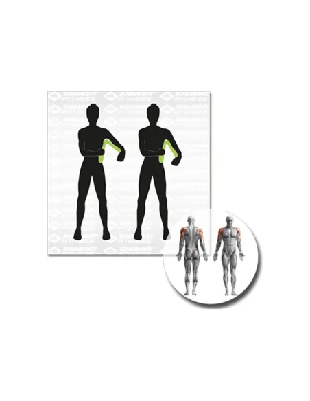 Agrafka Motylek Do Ćwiczeń Ud Ramion Nóg Pośladków Depandor Trenażer