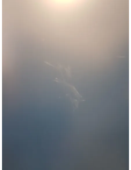 Stół Do Tenisa Stołowego CORNILLEAU 400X Blat 5mm Outdoor Blue Składany