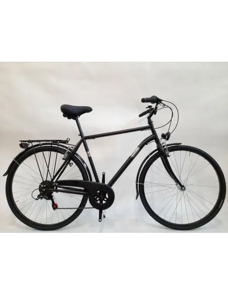 Męski Rower Miejski 28 Alpina 6 Biegów Światła