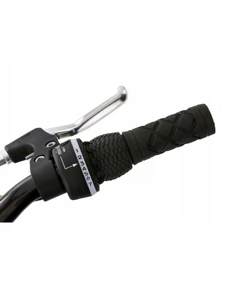 Rower Górski Dziecięcy 24 Amortyzowany Chłopca