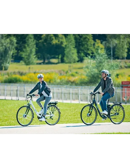 Elektryczny Rower Miejski 26 Nexus ALU 10.4 Ah 250 W Dzwonek Bagaż Błotniki